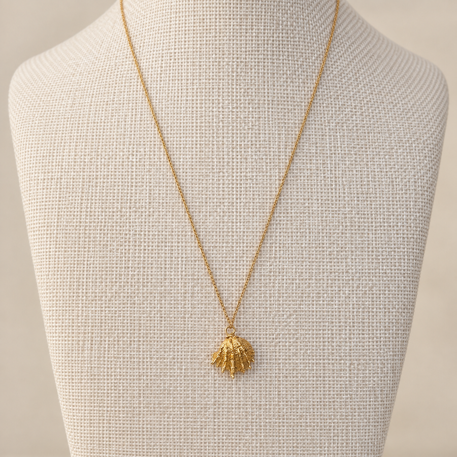 Jewel Box