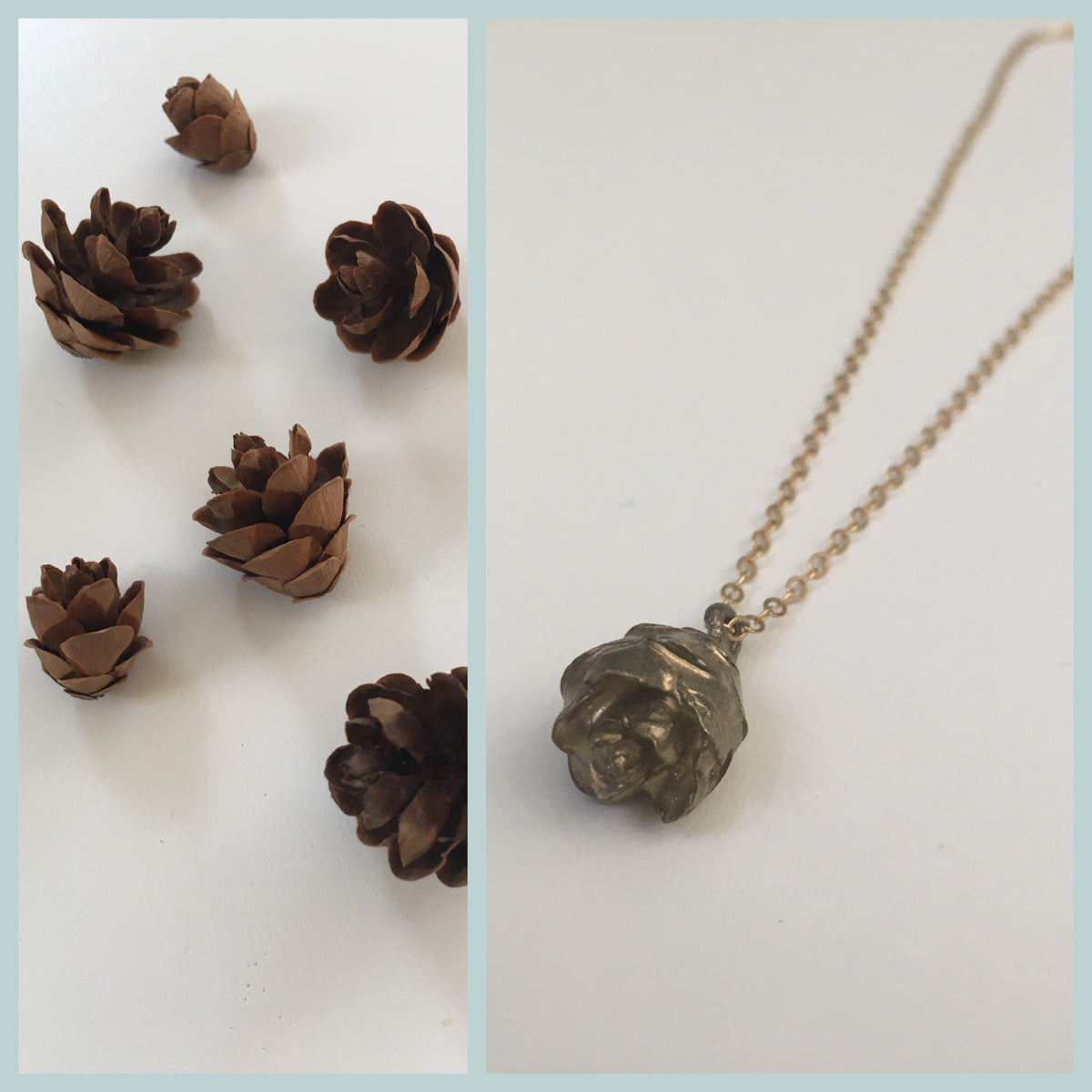Baby Pinecone