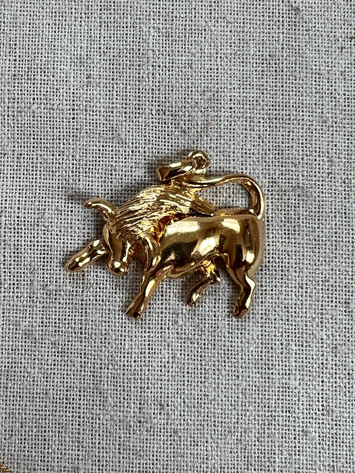 Zodiac Pendants